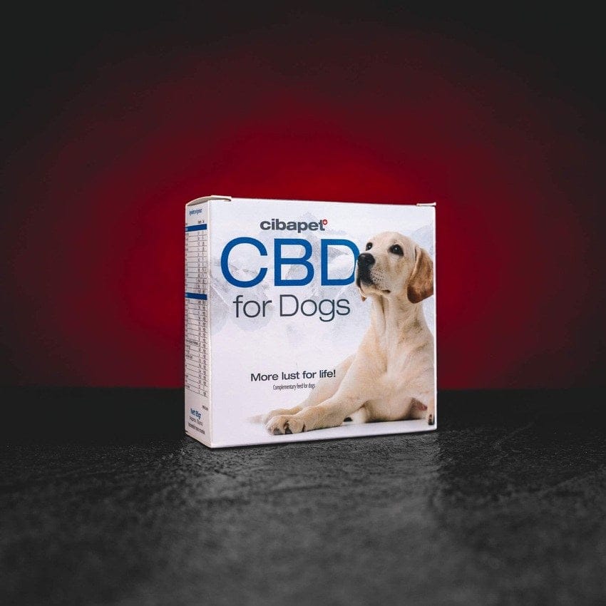 CBD хапчета за кучета CBD хапчета за кучета с непсихоактивен CBD, натурална хранителна добавка за насърчаване на спокойствие, благополучие, здрава козина и кожа, ароматизирани хапчета без терпени, подходящи за ежедневно приложение на домашни любимци