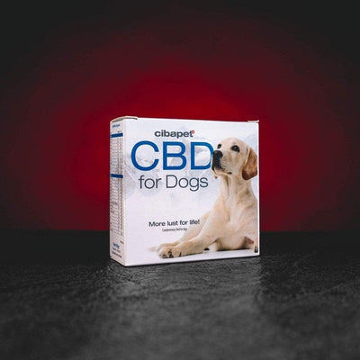 CBD хапчета за кучета CBD хапчета за кучета с непсихоактивен CBD, натурална хранителна добавка за насърчаване на спокойствие, благополучие, здрава козина и кожа, ароматизирани хапчета без терпени, подходящи за ежедневно приложение на домашни любимци