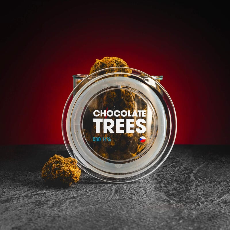 CBD цветя CBD продажба Прага Кратом CBD цветя от цял ​​свят Шоколадови дървета Шоколадови дървета Чехия