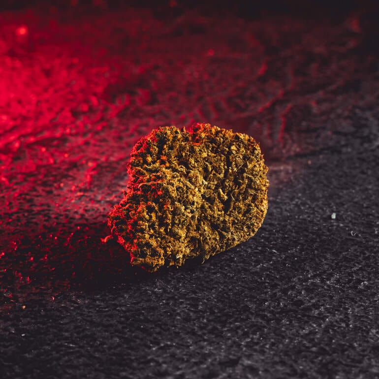 CBD цветя CBD продажба Прага Кратом CBD цветя от цял ​​свят Шоколадови дървета Шоколадови дървета Чехия Детайли за цветята