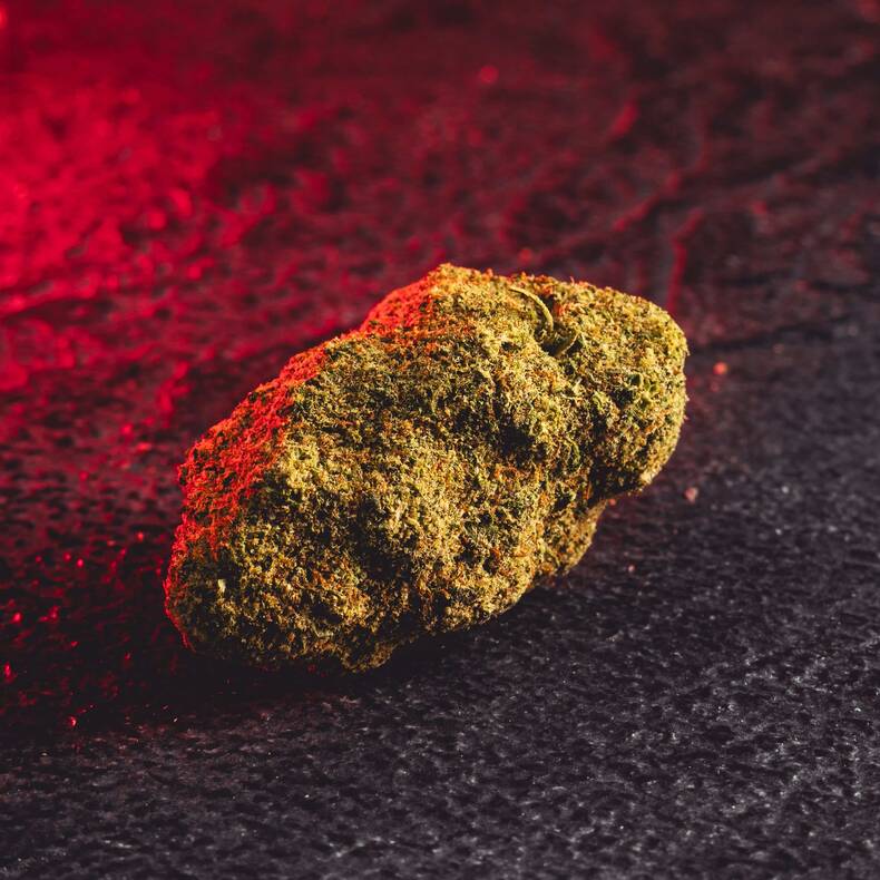 Качествено CBD лепило Gorilla Glue за вътрешна употреба Най-качественото CBD, което можете да намерите Plzeňská 123 Kratom World цвете детайл