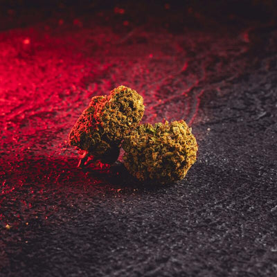 CBD цветя CBD продажба Прага Кратом Световнокачествени CBD цветя Лешник Лешник Италия Детайли за цвете