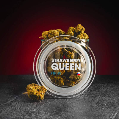 CBD цветя CBD продажба Прага Кратом Световнокачествени CBD цветя Ягодова кралица Ягодова кралица Чехия