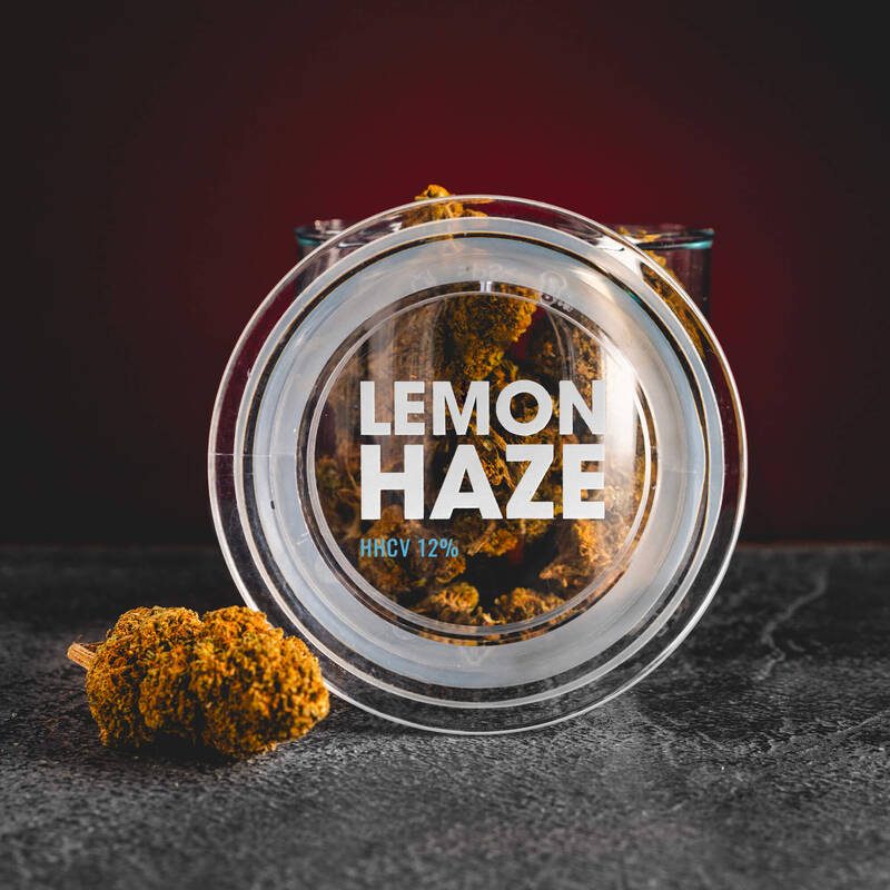 HHCV Flowers G13 Haze 12% Кратом Световно качество Разпродажба Прага Цветя с HHCV ефекти Прага Бърно Острава